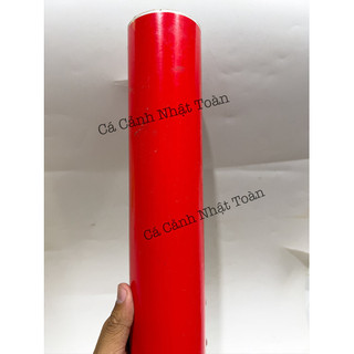 Decal Đỏ Dán Bể Cá Cảnh, Dán Xe Máy Khổ Cao 60cm