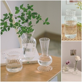 Bình thủy tinh đơn giản Ins Bình hoa thủy canh sáng tạo Trang trí phòng khách