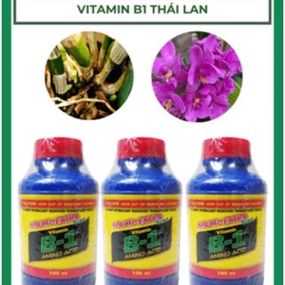   Có bảo hành  Phân bón Vitamin B1 thái lan cho cây hoa kiễng phong lan 500ml-100ml 