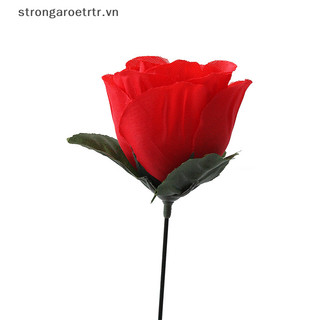 Ngọn Lửa Ảo Thuật Tạo Lửa Hoa Hồng