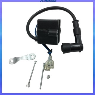 Cuộn dây đánh lửa cdi s cho 50cc 60cc 66cc 80cc để sử dụng