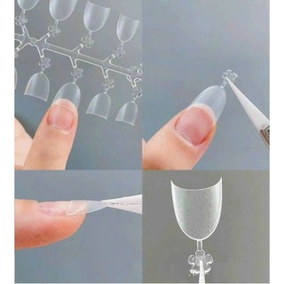 Móng Tip Nối Fom Tròn Ngắn Thang ngắn Hộp 240 Móng - nailmishops