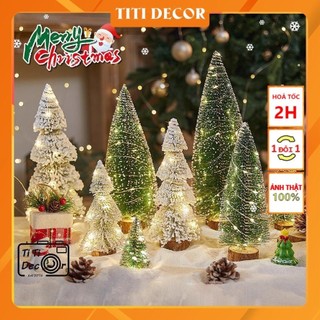 Cây thông mini để bàn Giáng Sinh,Decor Trang Trí Noel Dễ Thương, Tuyết Tùng Nhuộm Trắng TiTi Decor
