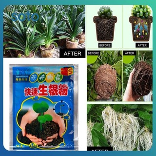 ♫ Bột Ra Rễ Nhanh Chất Tạo Rễ Cây Giâm Cành Bằng Bột Ra Rễ Cây Rễ Tóc Hỗ Trợ Nảy Mầm Cây Con