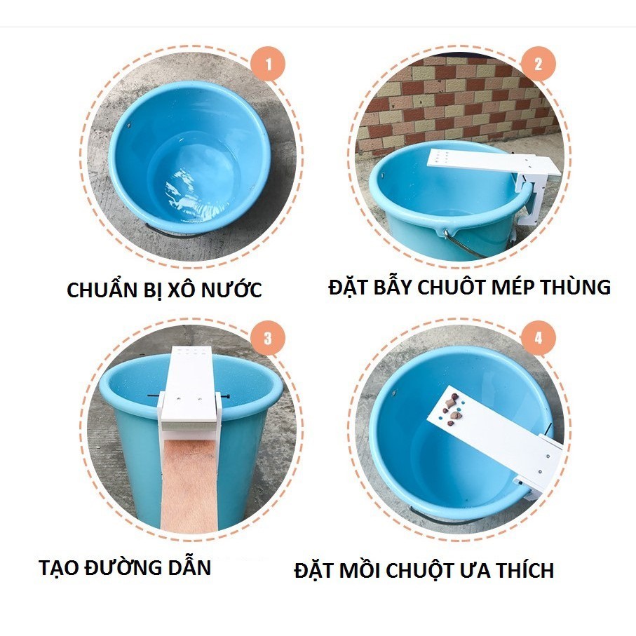 Bẫy chuột bập bênh - Dụng cụ bẫy chuột thông minh hiệu quả