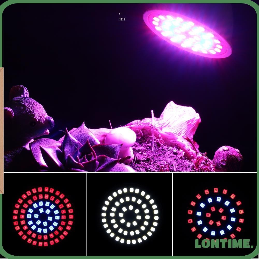 Đèn LED trồng cây E27 / GU10 / MR16