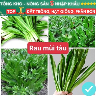 Hạt Giống Mùi Tàu F1 loại dễ trồng năng suất cao dễ chăm sóc