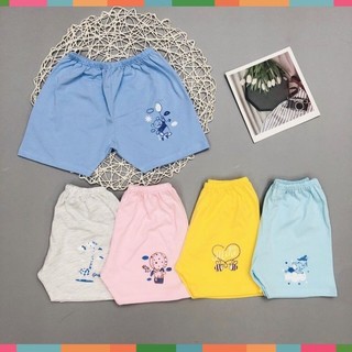 Quần Đùi Cotton Cho Bé Thái Hà Thịnh Size 3-15kg