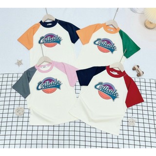 Áo Thun Baby Tee Borip phối màu in hình Hàng Quảng Châu L1 Co Dãn 4 Chiều - Dư Tú Lệ shop.