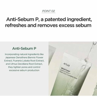 Heartleaf Quercetinol Pore Deep Cleansing Foam 150ml