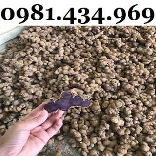 Chuẩn-500g củ giống ngải đen ngai tim, ngai đen chuẩn
