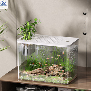 Bể cá phòng khách mini bể cá gia đình lớn nhỏ trong suốt bể cá vàng bể rùa có nắp bể cảnh quan