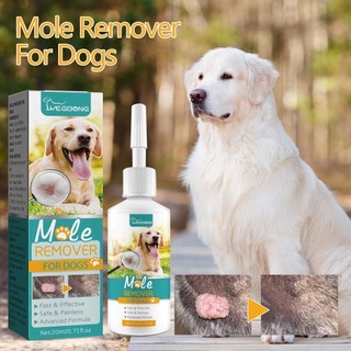 20ml Pet Dog Warts Remover Chất lỏng tự nhiên Điều trị không đau chống lại nốt ruồi Papilloma Mụn cóc Loại bỏ chất lỏng cho chó cưng
