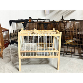 Khung lồng tắm chào mào đơn tự ráp chất liệu gỗ nan cáp quang ( tặng khay tắm)