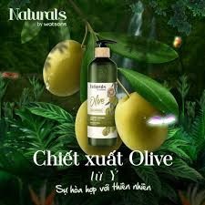 Dầu Dưỡng Tóc Naturals By Watsons True Natural Chiết Xuất Olive 100ml