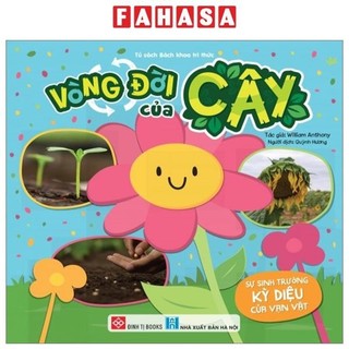 Sách sự sinh trưởng kỳ diệu của vạn vật - vòng đời của cây