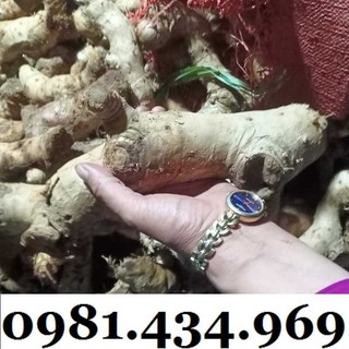 Củ mía dò 01kg tự nhiên chuẩn