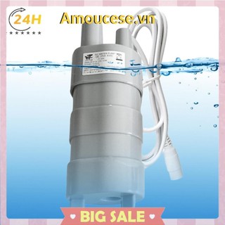 Máy bơm chìm DC 12V Động cơ không chổi than Máy bơm nâng cao 15W cho người cắm trại đoàn lữ hành