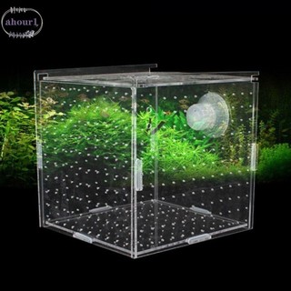 Máy ấp trứng AHOUR1 có móc Lưới đơn Máy ấp trứng bể cá Phụ kiện bể cá giống và nuôi dạy con cá Hộp tách cá