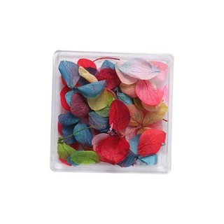 Thời gian * 3d móng tay nghệ thuật dán thật cho móng tay nghệ thuật nhựa thủ công hoa khô cánh hoa móng tay nghệ thuật trang trí