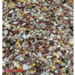 10KG ngũ cốc cho gà đá ngũ cốc cho gà nòi ngũ cốc cho gà tre ngũ cốc bồ câu ngũ cốc cho vịt ngũ cốc gà giò