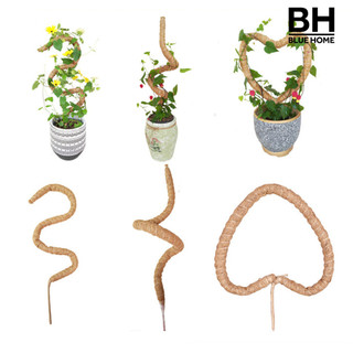 [Bh] Gậy Leo Cây Có Thể Uốn Cong Handmade Thoáng Khí Chống Rơi Chắc Chắn Tăng Trưởng Thực Vật Tự Làm Rêu Cực Hỗ Trợ Vật Dụng Làm Vườn