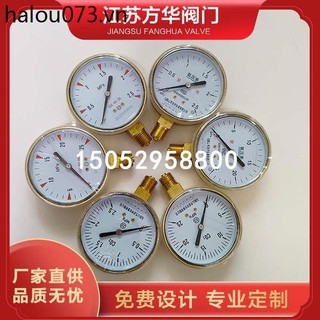 Đồng hồ đo áp suất màu đỏ Đầu đo đơn YQJ-11A Nitơ Argon Hydrogen Oxy Carbon Dioxide Ống giảm áp suất Đồng hồ đo áp suất