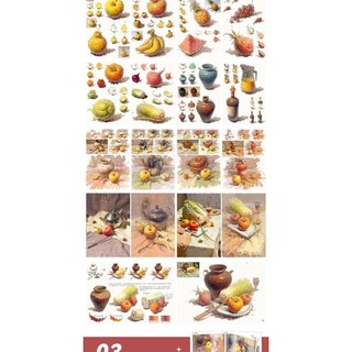 Bộ đơn Color Still Life 2023 Color Basic Still Life