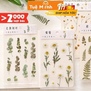 Sticker hoa lá Vintage dán sổ bullet jouranal, thiệp, nhãn dán hình hoa lá trang trí