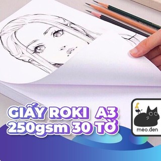 Giấy vẽ ROKI 250gm 30 tờ - Họa Cụ Hakuart