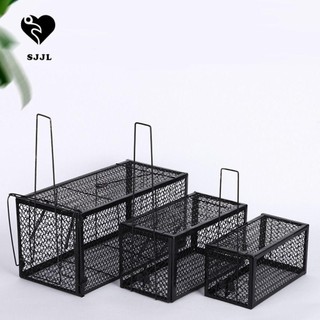Lồng chuột tự khóa bẫy chuột tự động mồi hộp kiểm soát dịch hại chuột bắt chuột bắt chuột
