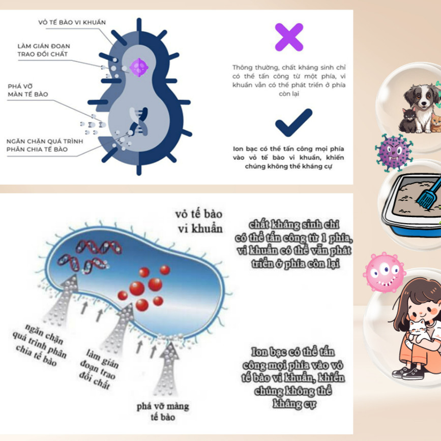 Xịt khử khuẩn siêu nano ECOPETS, khử mùi hôi, vệ sinh chuồng trại cho chó mèo 100ml và 500ml