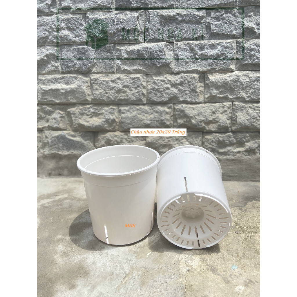 Chậu nhựa cứng 20x20 Màu trắng  Mẫu đẹp , hiện đại , có khe thoát hông  Chậu hoa hồng , cây kiểng