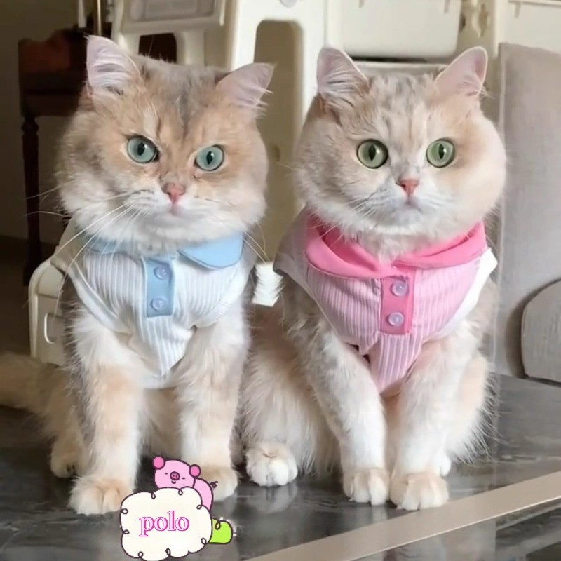 Quần Áo Cho Chó Mèo Mùa Hè Mỏng Chống Rơi Áo Vest Thoáng Khí Ve Áo Thú Cưng Tương Phản Áo Sơ Mi Polo