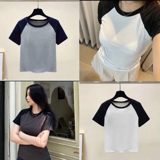 A107 Áo Thun Nữ Trơn PHỐI MÀU Chất Thun Gân Co Dãn Ôm Body Cổ Tròn Tay Ngắn mã 04