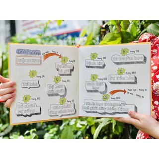 Sách - Sơ đồ tư duy Sinh học - Mind Map Biology, kho thông tin thú vị bởi những người đi đầu