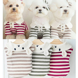 Shihtzu chó clothe thiết kế cổ dễ thương clothingv áo thun dễ thương cho chó mèo sọc áo thun thú cưng mèo con femacute gấu in quần áo nam mỏng quần áo mùa hè