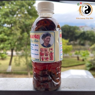 (CHÍNH HIỆU) Rượu xoa bóp bọ cạp Sapa gia truyền của ông Giàng A Páo. Dầu xoa bóp dùng cho đau nhức xương khớp