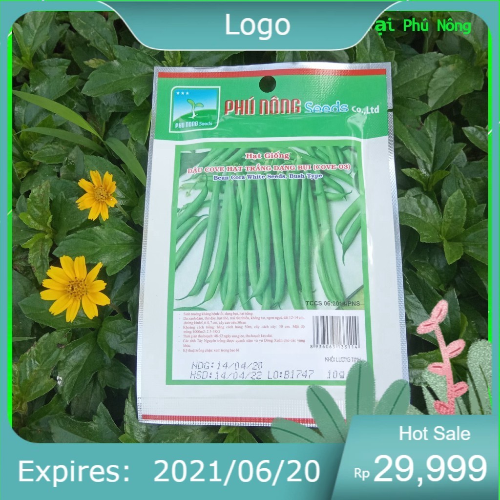 Hạt Giống Đậu Cove Hạt Trắng  Dạng Bụi  (Cove-03) Phú Nông- Gói 10g - Bean Cora White Seed, Pole Typ