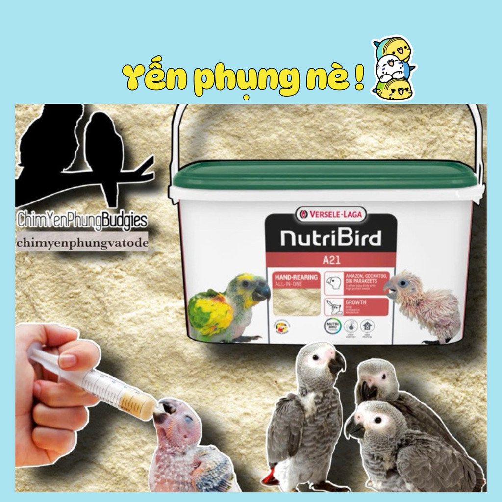 Bột NutriBird A21 - dinh dưỡng cho chim non (100g)