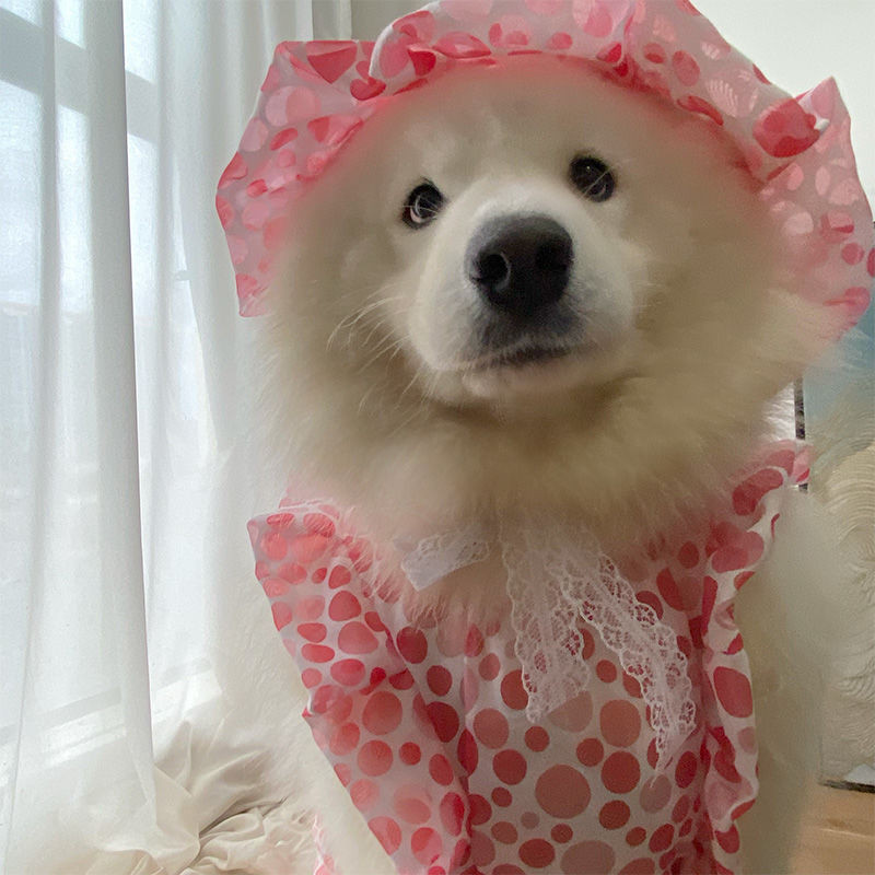 Quần áo chó Quần áo cho chó Quần áo cho chó cưng Váy gạc tròn lớn màu đỏ Lớn vừa Chó nhỏ Samoyed Labrador Chụp / / ling4.24