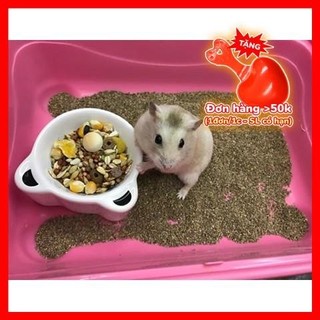 1kg Cát Buddy Ấn cho Hamster