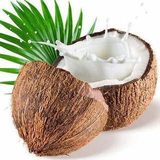 Sữa Đặc Thuần Chay Từ Yến Mạch/ Dừa SAMUI 320g