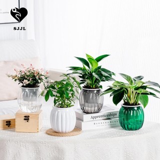 SJJL Chậu hoa thủy canh, Chậu hoa hấp thụ nước bằng nhựa phong cách Bắc Âu, Chậu trong suốt có dây bông Cây tưới nước tự động bền bỉ Trang trí sân vườn