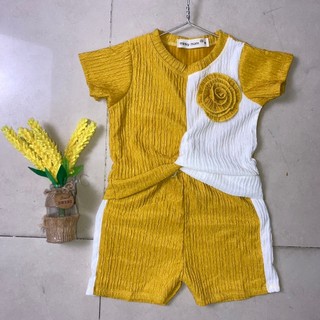 [8-22kg] Set áo kiểu đính hoa + quần short vải xốp gân cute cho bé gái đi chơi, đi học (TT210)