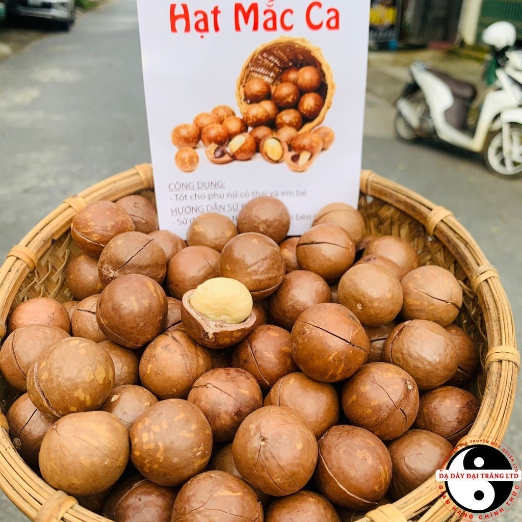 Macca Lai Châu sấy nứt loại 1 size lớn đại, 1kg sấy khô nứt vỏ từ macca tươi, hữu cơ. Mắc ca, macca,