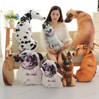50cm Mô Phỏng Chó Husky Corgi Chai Chó Sang Trọng Đồ Chơi 3D Gối Mềm Búp Bê Ngủ