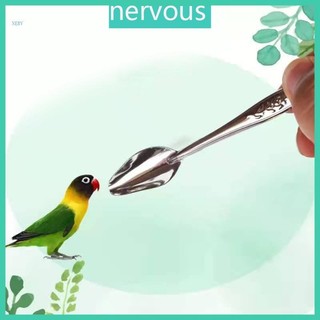 Nerv Vẹt Ăn Thìa Inox Thức Ăn Muỗng Kim Loại Nhỏ Bằng Tay Ăn Động Vật Dụng Chăm Sóc Cho Conure Parakeet