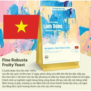 Top 1 Vietnam Green Coffee Valuation - Fine Robusta Lâm Đồng Fruity Yeast Natural - Stupiducks Specialty Coffee