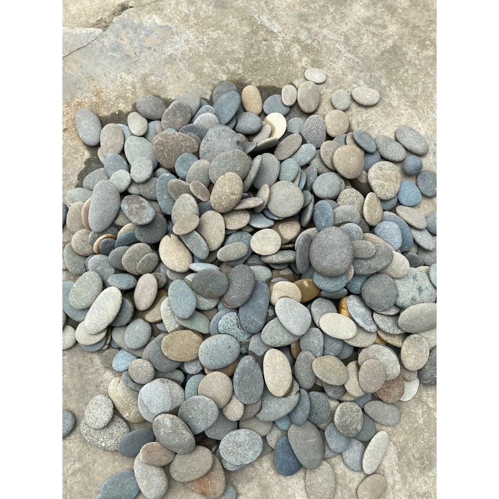 đá cuội dẹp nhỏ - đá trang trí layout bể cá bê thuỷ sinh (1kg)